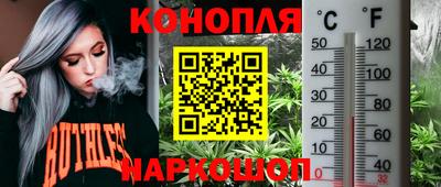 СК Ставрополь