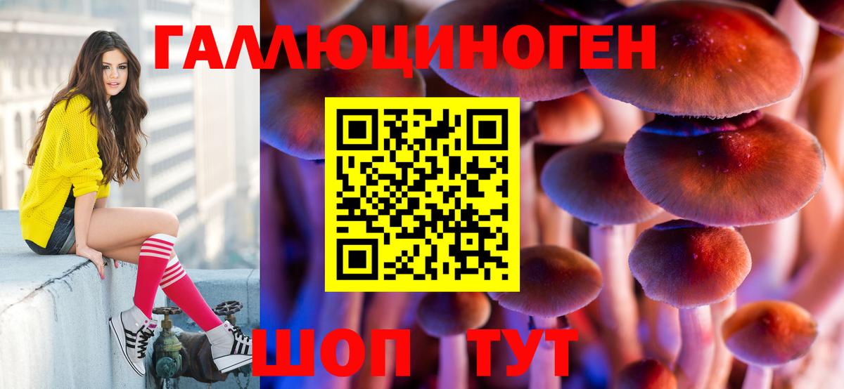 Саянск  Псилоцибиновые грибы Psilocybine cubensis  Вход с VPN  Галлюциногенные грибы MAGIC MUSHROOMS 